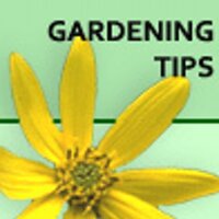 backyardgardener (@gardenwow) 's Twitter Profile