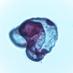 UNCW Marine Science (@marinesciuncw) Twitter profile photo UNCW Marine Science (@marinesciuncw) Twitter profile photo