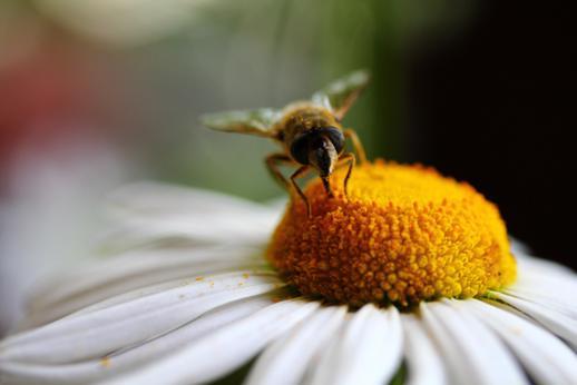 kyqosefu's profile picture. Lay-out worker