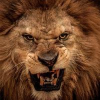 🏈Keith Spencer🏈 (@kjs12345678910) 's Twitter Profile