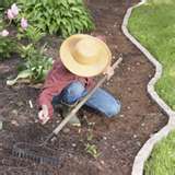 I'm the biggest Gardening fan I know! Follow me to get all the latest Gardening news.