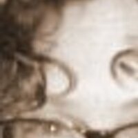 Beth Arthur (@archivistrix) 's Twitter Profile