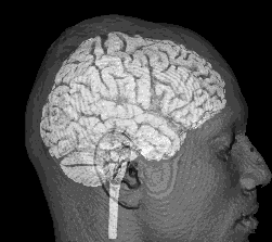 adamsane's profile picture. Sr. Software Dev