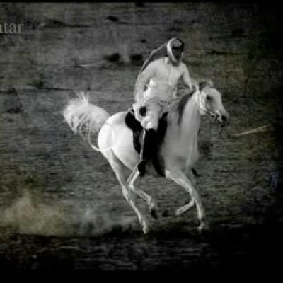 ‏متذوق للشعر