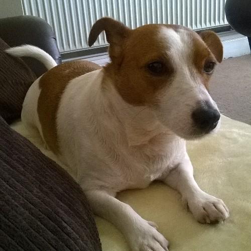 lucindasher's profile picture. 