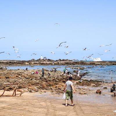 Krokobox's profile picture. 