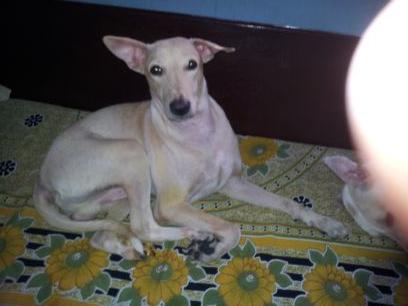 crpbsf's profile picture. Power project consultant.Currant political activity observer.