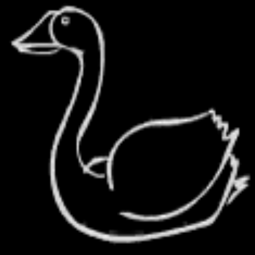 Fuscuss's profile picture. 