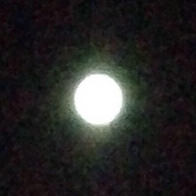 gayagold80's profile picture. XPS