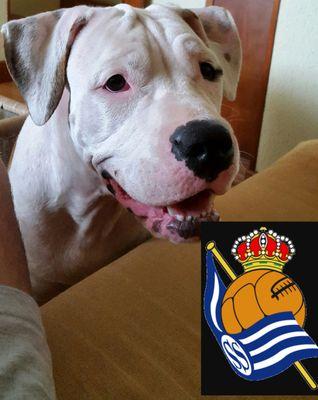 gorkirolo's profile picture. 