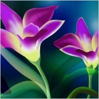 hamody553322's profile picture. ‏‏‏روُمِـنسًـيـﮯ وُحنيـﮯن  لَسًـتُ فُيـﮯ قَلَبّيـﮯ گرهِ‏‏ عَلَيـﮯ ٍآُحدُ لَگن ٍآُرتُآح لَمِـن يـحبّنيـﮯ  وُآحتُرمِـ مِـشّـآعَرهِ‏‏ تُوُيـتُر هِہ‏‏يـﮯ آسًـتُرآحت