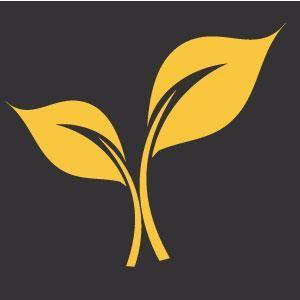 Download Free all CMS, WordPress, Mock-Up and etc.