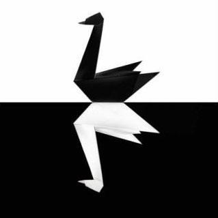 black_swan_twts's profile picture. Author on wealth creation. Founder and CEO Black Swan Wealth Advisors