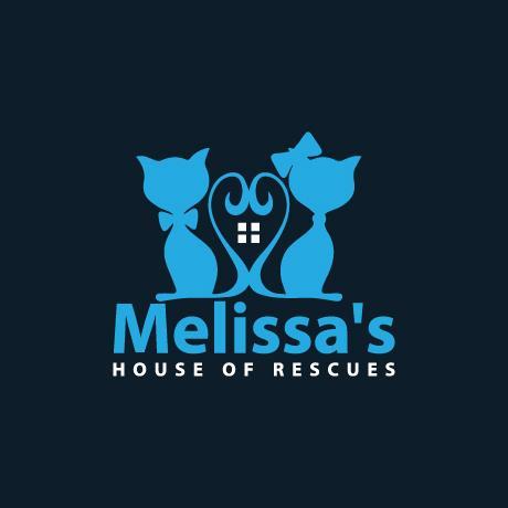 FB: Melissa's house of rescues http://t.co/3GAIHT1PuN.   My rescued cats,   My volunteer work at Colony Cats (& dogs),   Spay and Neuter, BSL