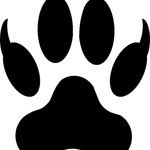 compbeast's profile picture. 