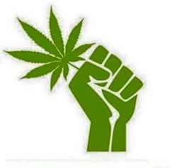 juanquintana03's profile picture. 