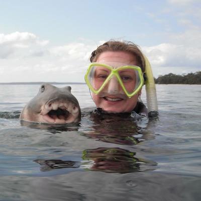 SharkySherrie's profile picture. fish biologist, shark wrangler, PhD candidate, lover of anything with fins...