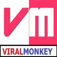ViralMonkey (@theviralmonkey) 's Twitter Profile