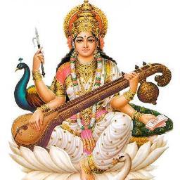 shagun11's profile picture. 