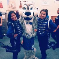 Sierra High Band (@sierrahsband) 's Twitter Profile