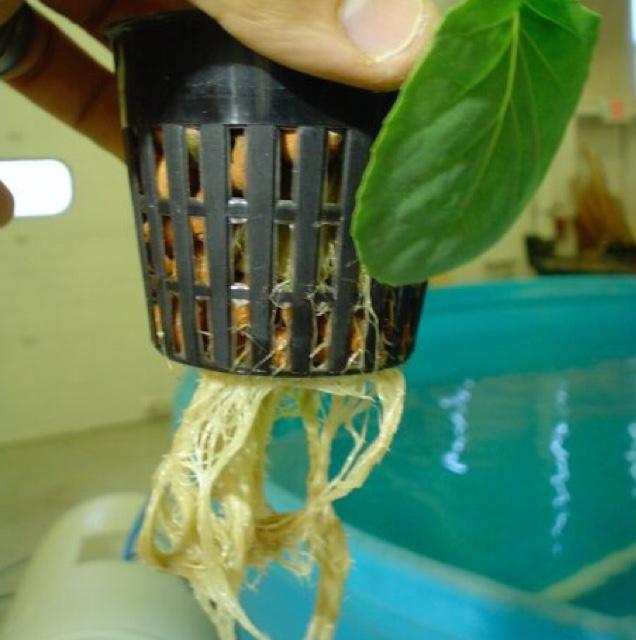 NJiSTEM's profile picture. 