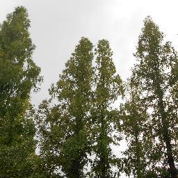 Rawa9591kuma's profile picture. Excuse me for silent follow.