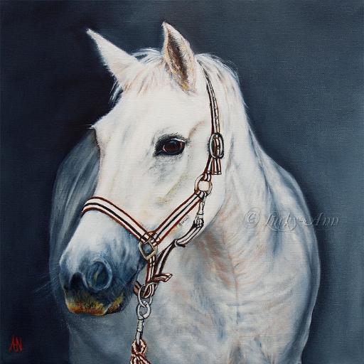 Ik schilder met olieverf, en maak pen-tekeningen. I am a painter, and i also make pen-drawings. take a look at my website. I love to make a painting for you.