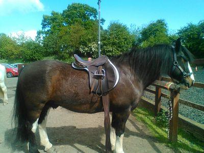 BuntingJosie's profile picture. 