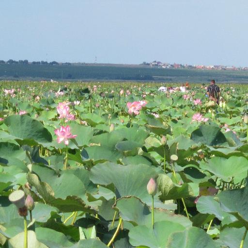 Beue3DNqUobk15d's profile picture. 