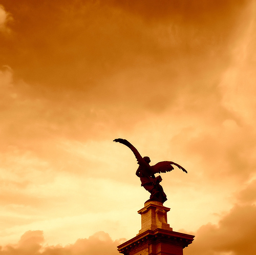 skysurferteam's profile picture. 