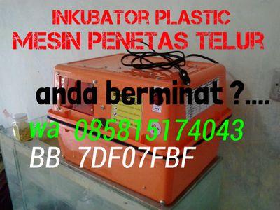inkubatorplast2's profile picture. mesin penetas telur..#35 telur ayam..#type forced air(sudah pake fan) suhu dan kelembapan lebih terjaga dan merata..#bisa di cucu 300ribu ..berat paket 3 kg