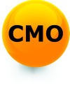 Chief Marketing Officer Conferences for top marketing executives. Established in 2008.