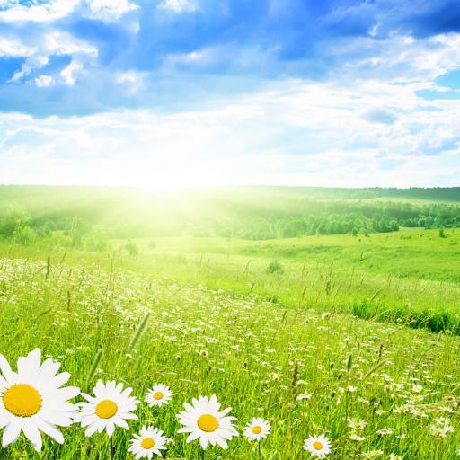 GonulKopruleri's profile picture. Asr-ı Saadet'ten günümüze, günümüzden geleceğin aydınlık Nur dolu günlerine uzanan köprüler.