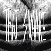 S N A A K E (@thatsnaake) Twitter profile photo