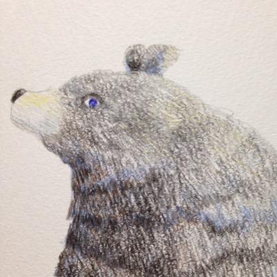 kinokosikkemax1's profile picture. 水彩好き。毒のある可愛さが好物。物語が好き。詩も好き。豆腐美味い。                                               創作垢はこっち     @insekiyaro