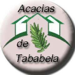 AcaciasTababela's profile picture. 