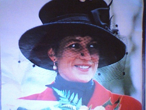 CorianderMao's profile picture. 