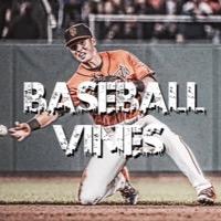 _Baseball_Vines Profile Picture