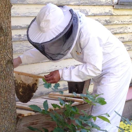 MrPetriew's profile picture. 