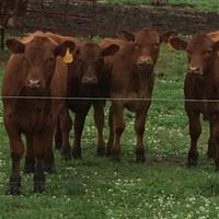 Jordan Reker (@jordanreker) 's Twitter Profile Photo