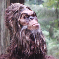 Hairy But Lovable Hominid of Humboldt.