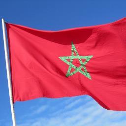 DiwanMaroc's profile picture. Les nouvelles du Royaume du Maroc, exception politique du 21e siècle.
