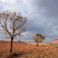 Living While Dying (@livingwhile) 's Twitter Profile