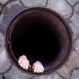 Lugar_CabeTudo's profile picture. 