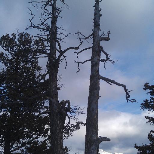 KelechiAko1's profile picture. Male