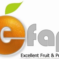 Felipe Gomez (@efap) 's Twitter Profile