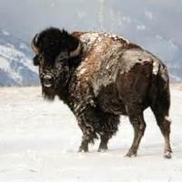 Peter Bartig (@peterwjb) 's Twitter Profile Photo