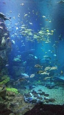 michihiro113038's profile picture. 