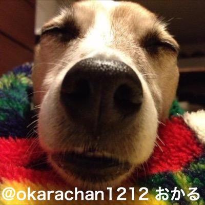 日本大好きな日本人…普通に国旗国歌が好きだと言える国になります様に…
安倍総理支持、
ワンコ派です。