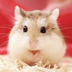 erika_no_toushi's profile picture. 一児のママで、育児の合間の株式投資やってます♪ファッションやショッピング、可愛いものも大好きです(≧∀≦)気になったらお気軽にフォローして下さいね♪ 投資ブログもやってるので、覗きに来てね♡エリカの利益獲得の秘密がわかっちゃう！？…かも(笑)